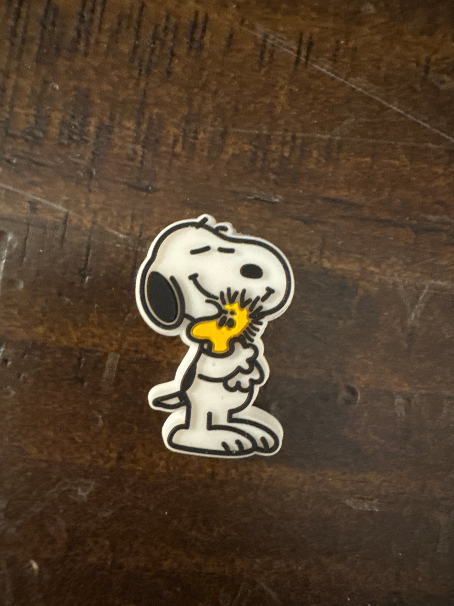 Snoopy & Charlie Brown