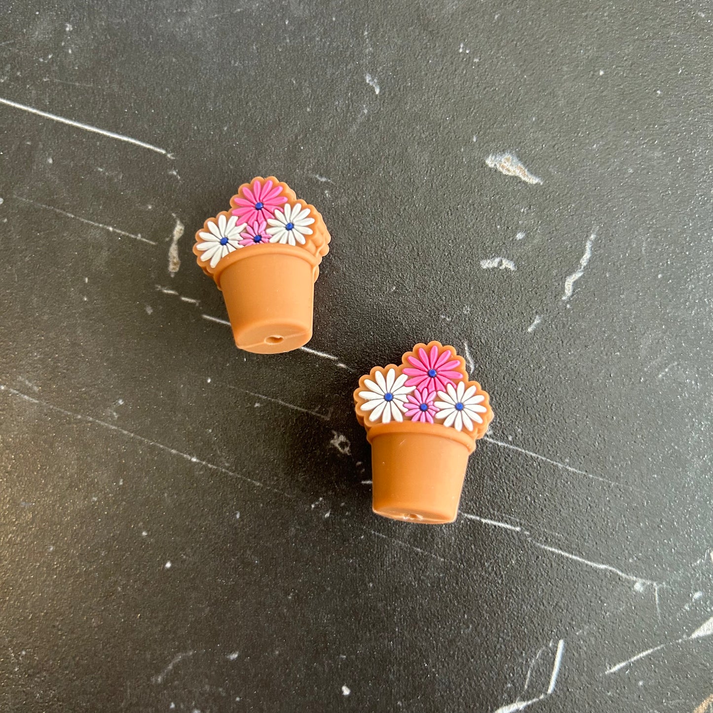 Flowers & Plants