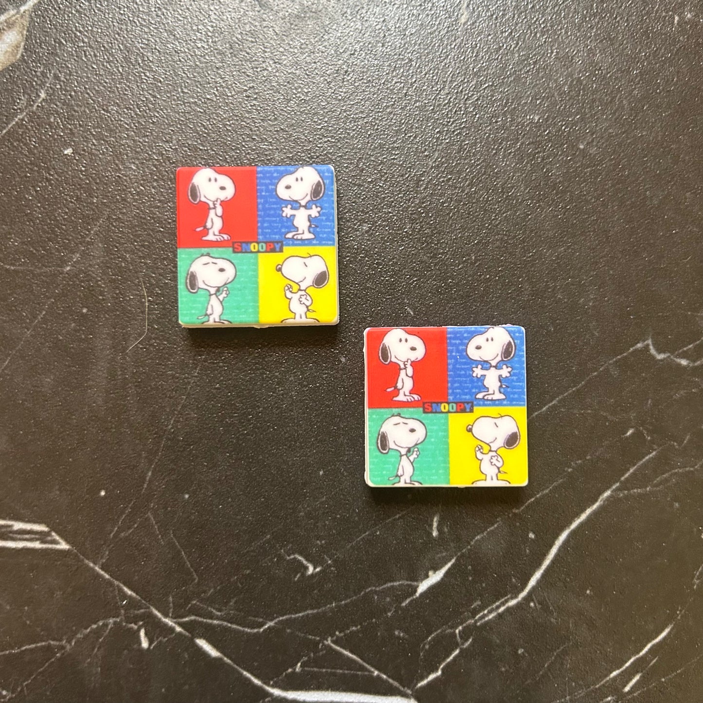 Snoopy & Charlie Brown