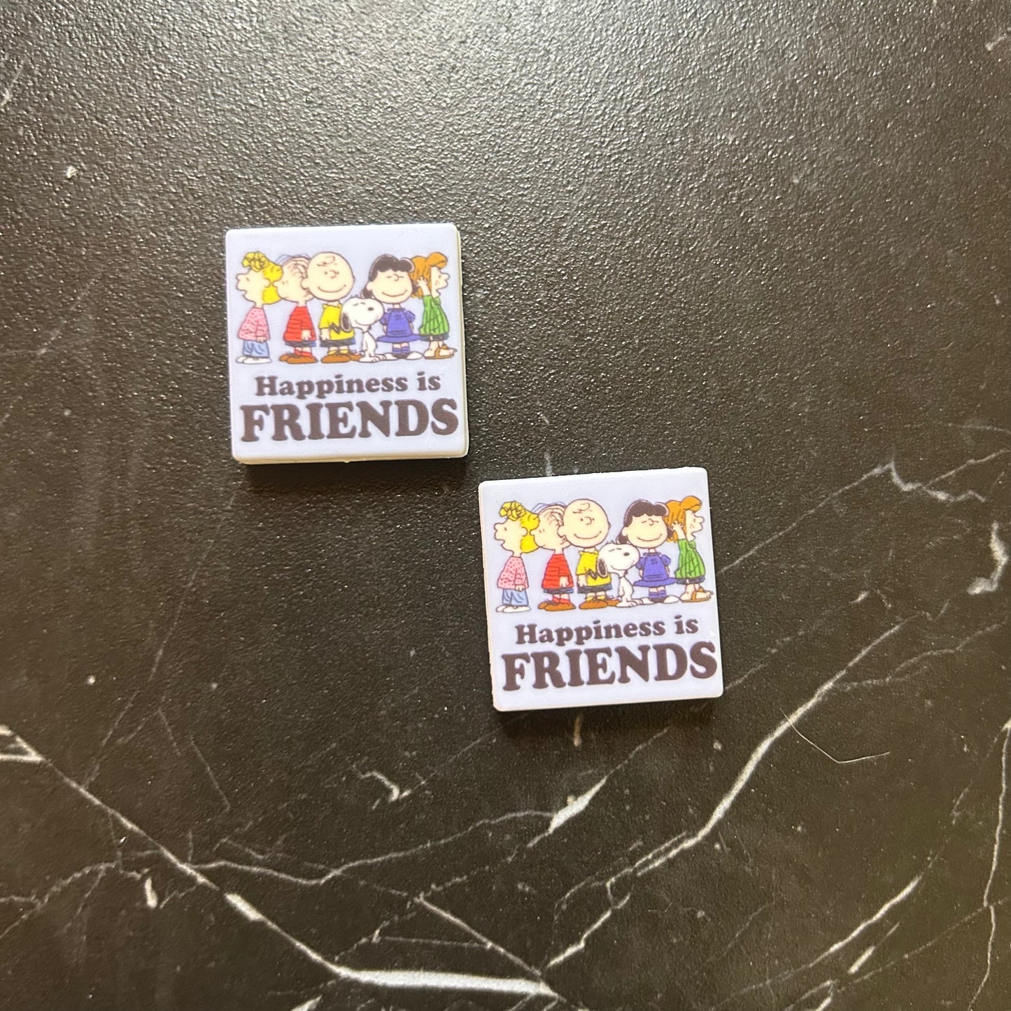 Snoopy & Charlie Brown